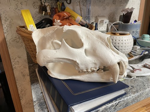 Fotos del artículo de un comprador verificado