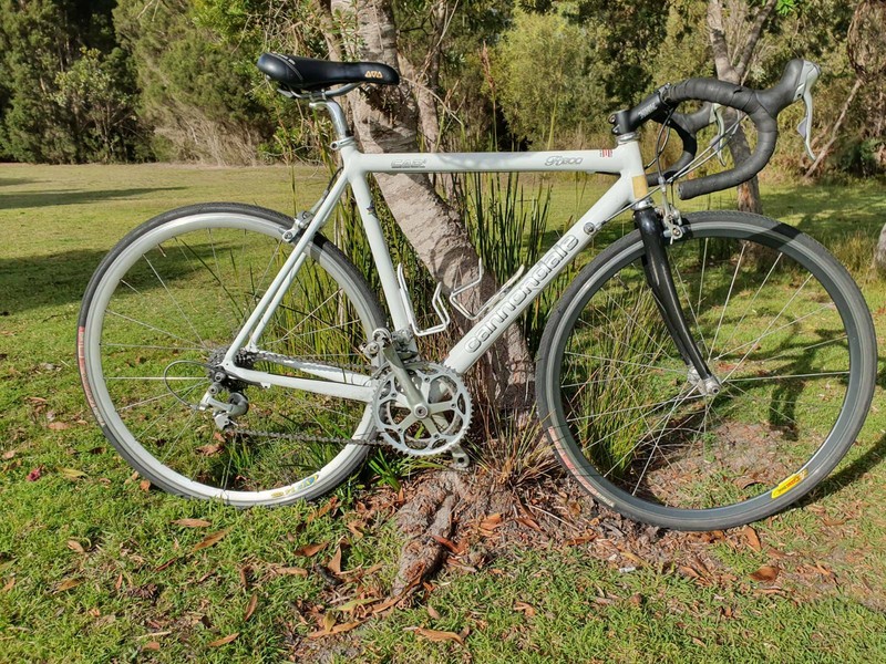 cannondale r800 sport