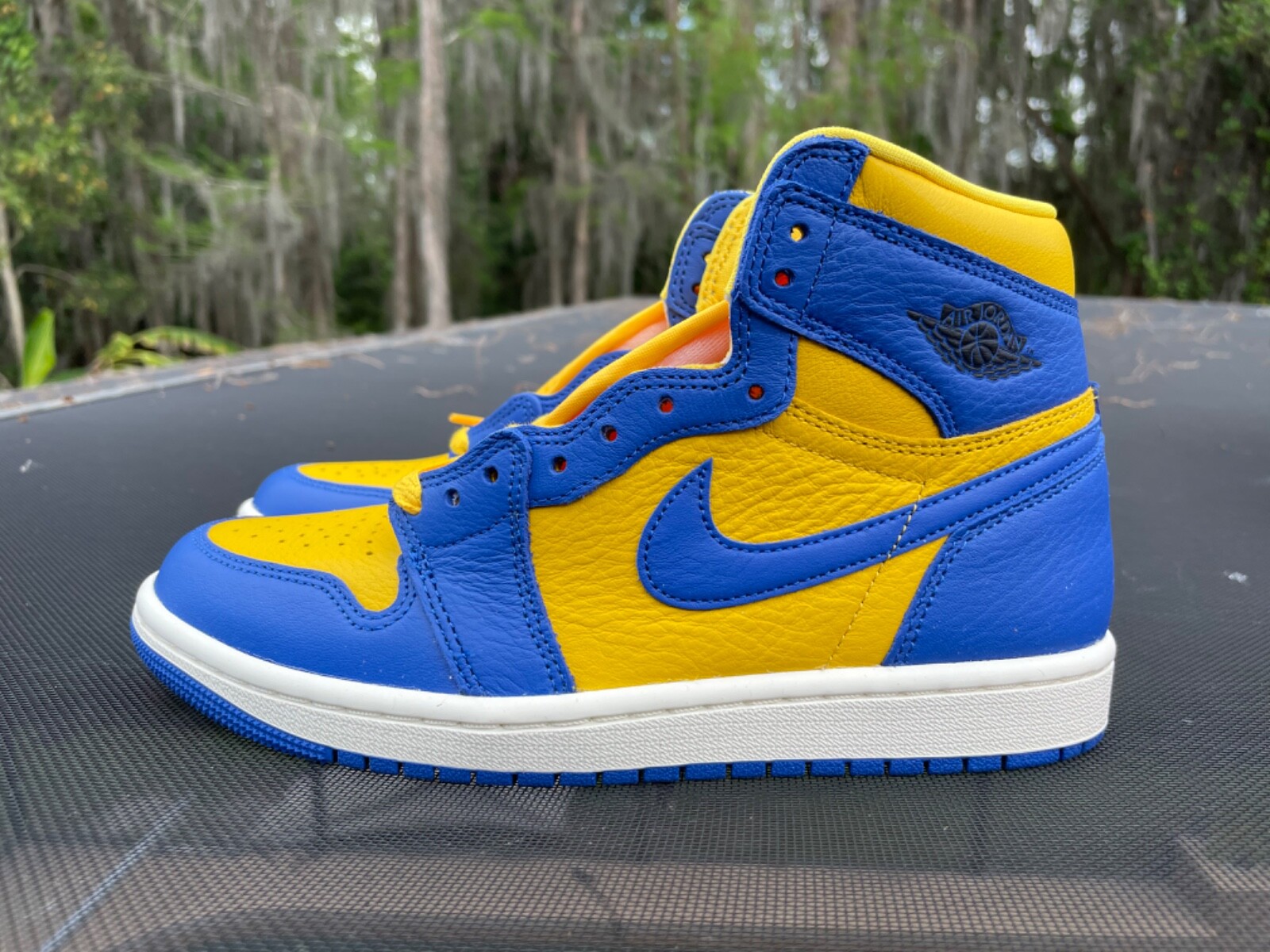 New Jordan 1 High Reverse Laney Size 10 (W) (FD2595-700) | eBay