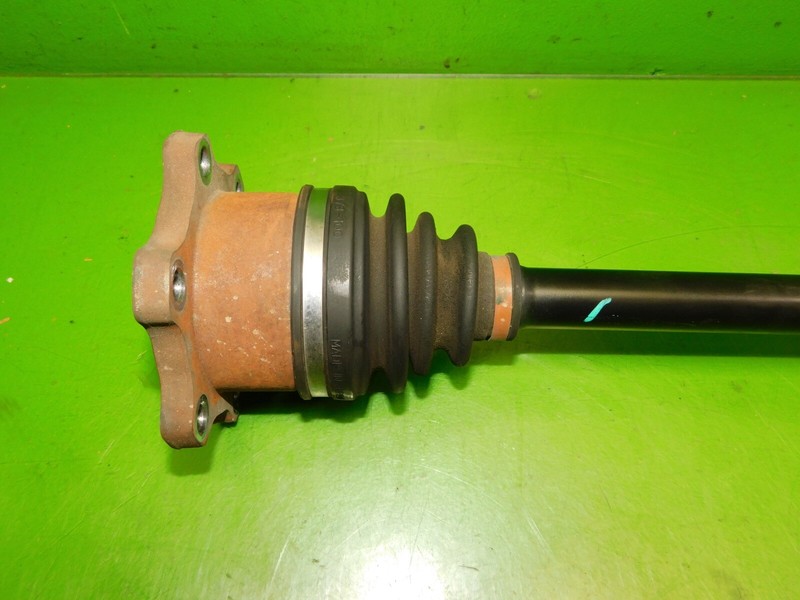 Picture 4