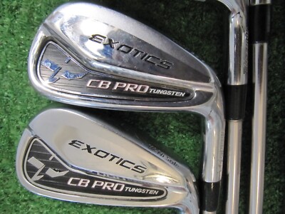 TOUR EDGE EXOTICS CB PRO TUNGSTEN IRONS 5-PW-AW-SW, E21 EAGLE ONE S FLEX GRAPH.