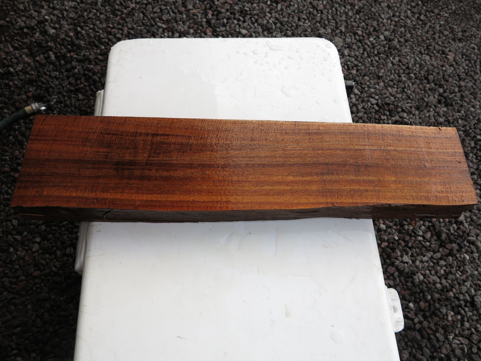 Koa Curly Hawaiian Wood A-13