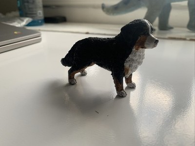 Fotos del artículo de un comprador verificado