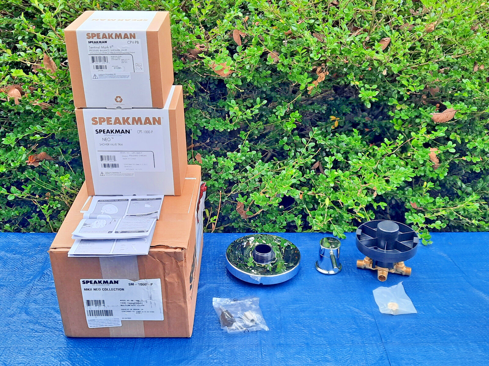 Speakman SM-1000-P Neo Pressure Balanced Trim with Rough-In Valve in Chrome