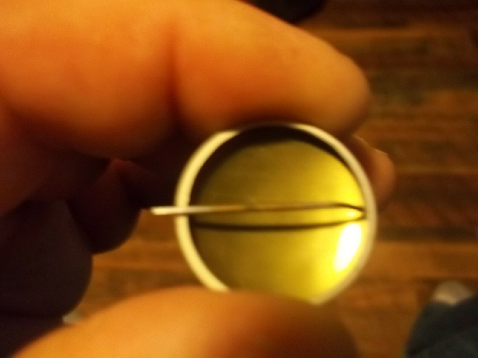 1950's guest sightseeing pinback button