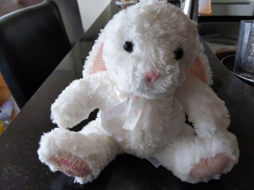 carter's musical plush