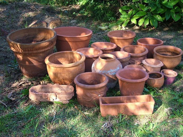 ( garden) terracotta pots large & small 19 all up | Pots & Garden Beds