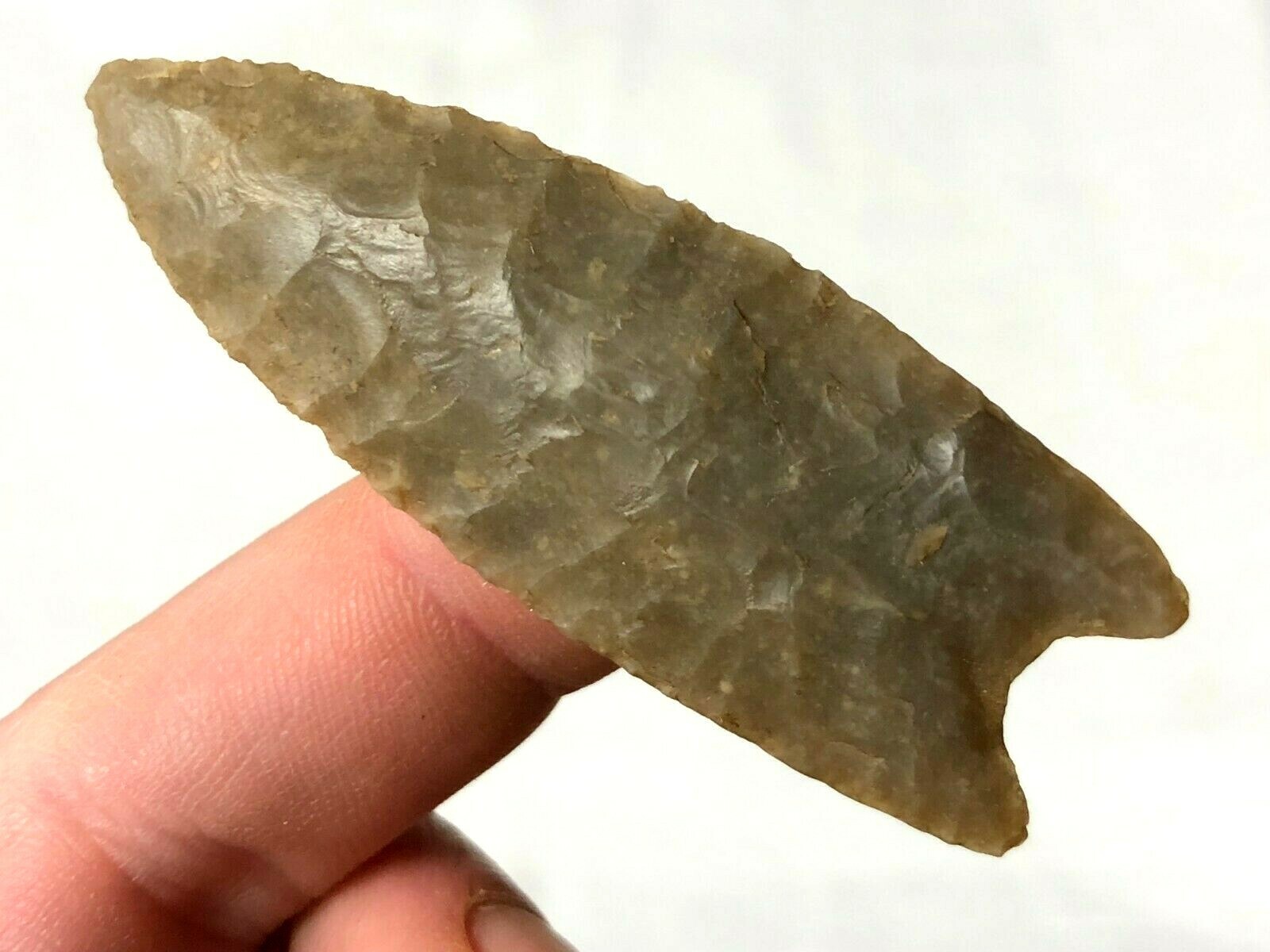 EXCEPTIONAL PALEO BARBER POINT BELL CO., TEXAS AUTHENTIC ARROWHEAD ARTIFACT B24