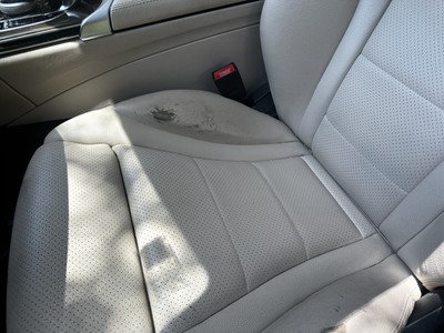 image 2 of interior