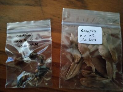 Foto dell'oggetto di un acquirente verificato