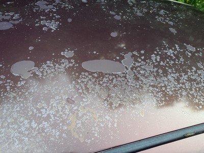 image 11 of exterior