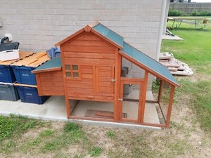 Bunnings chicken feeder