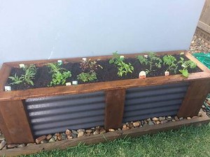 raised garden bed in Gold Coast Region, QLD Gumtree 