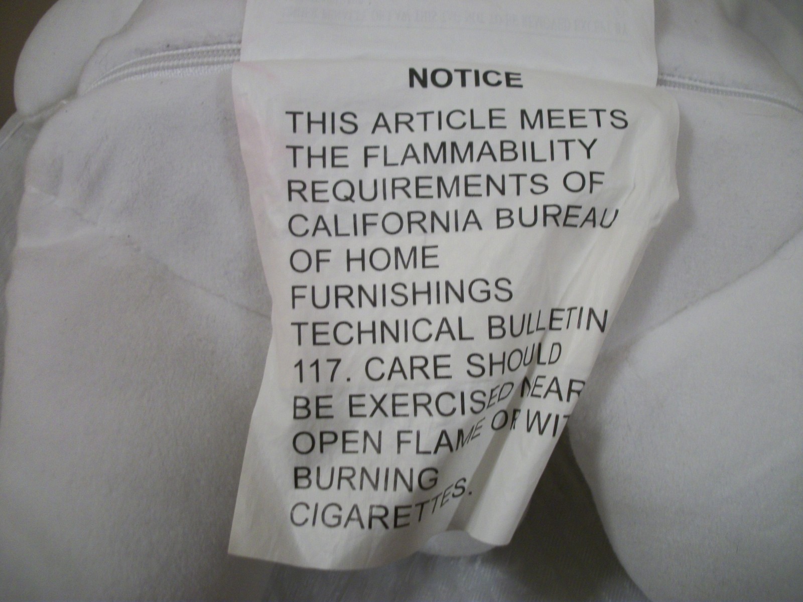 Polar Bear Massage 16