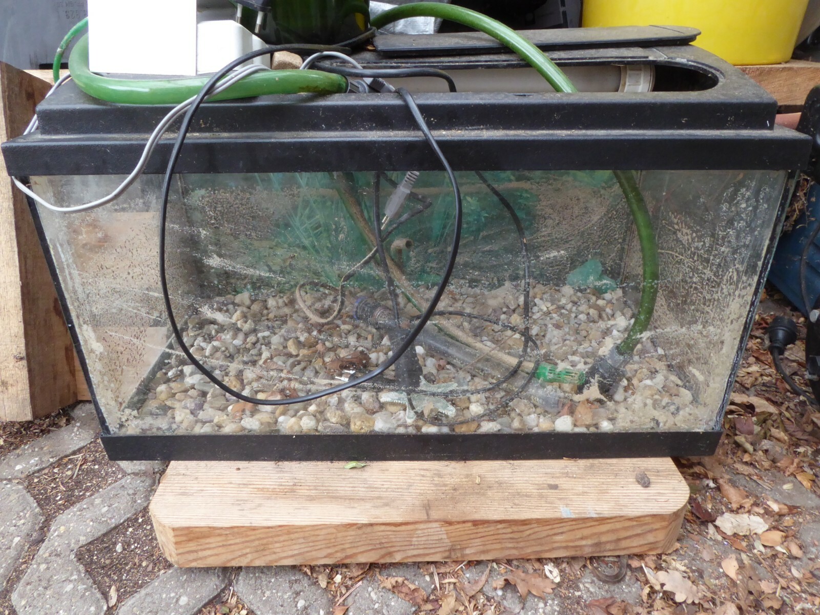 Aquarium mit Pumpe Eheim 60L | eBay