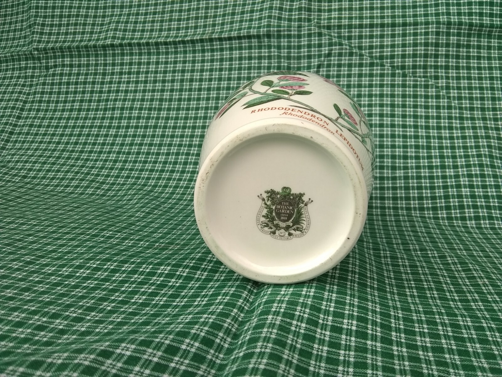 Rhododendron Lepidotum Portmeirion Botanic Garden Vase