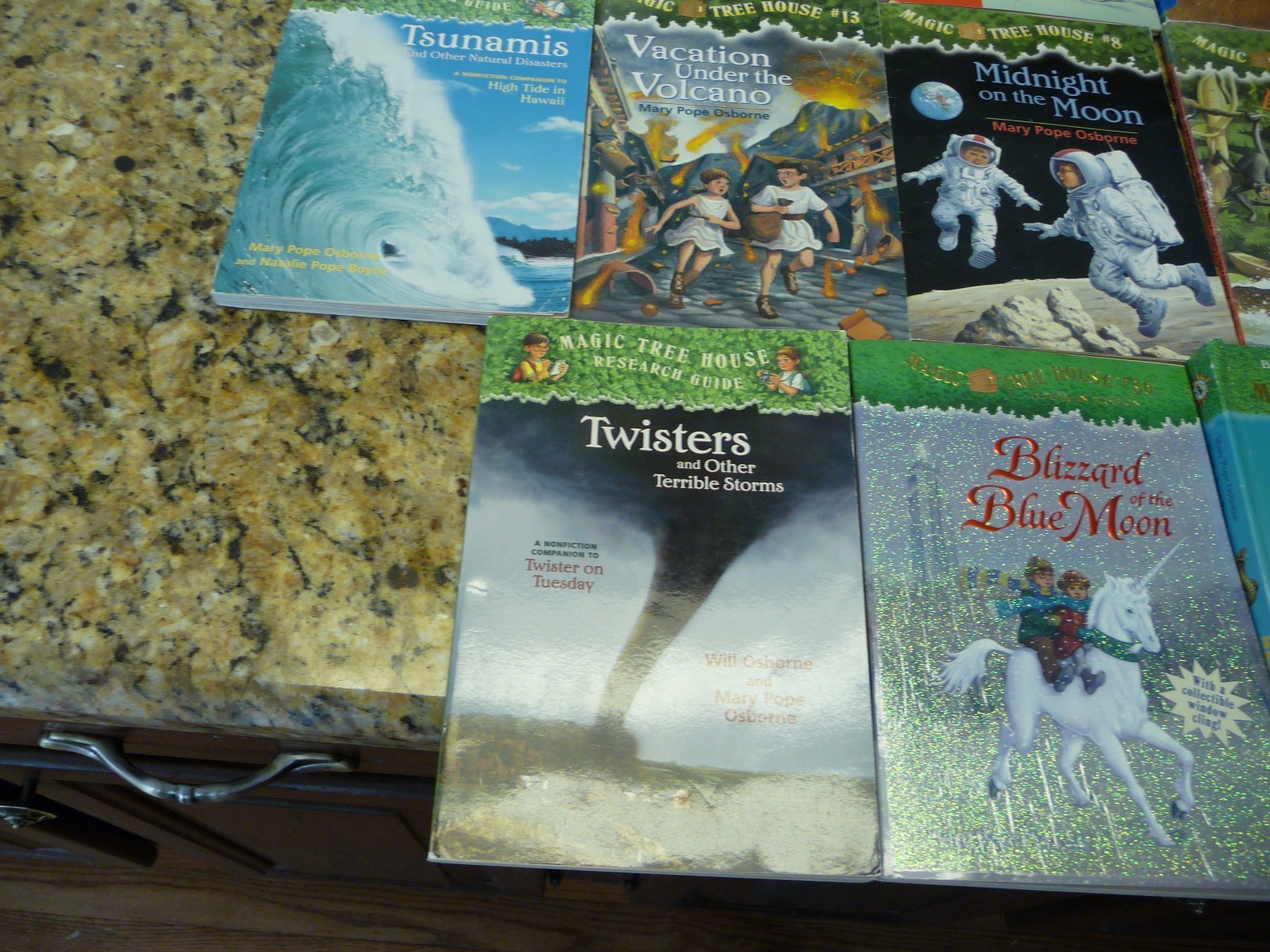 25 The Magic Tree House paperback hardcover book lot Mary Pope Osborne childrens