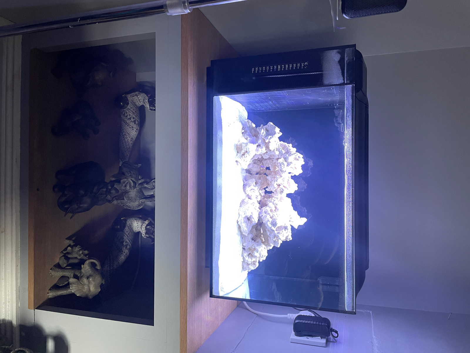 Fluval SEA Evo 52L Aquarium Set Saltwater Tank With Reef Capable LED