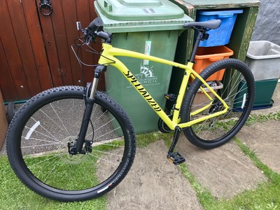 specialized men's rockhopper sport 2019