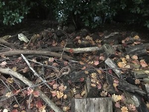 Free firewood | Other Home & Garden | Gumtree Australia ...