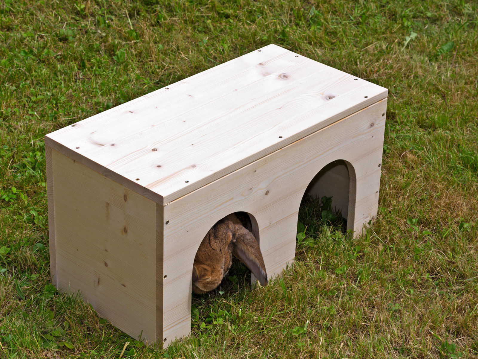 Betten, Hängematten und Nester für Meerschweinchen