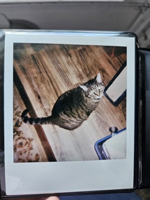 Artikelfoto(s) von einem verifizierten Käufer