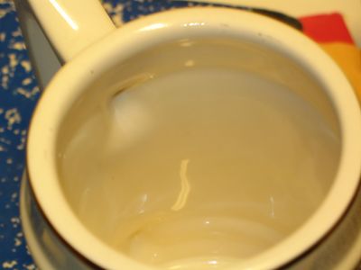 Ferris State 1991 Reunion Beer Mug.