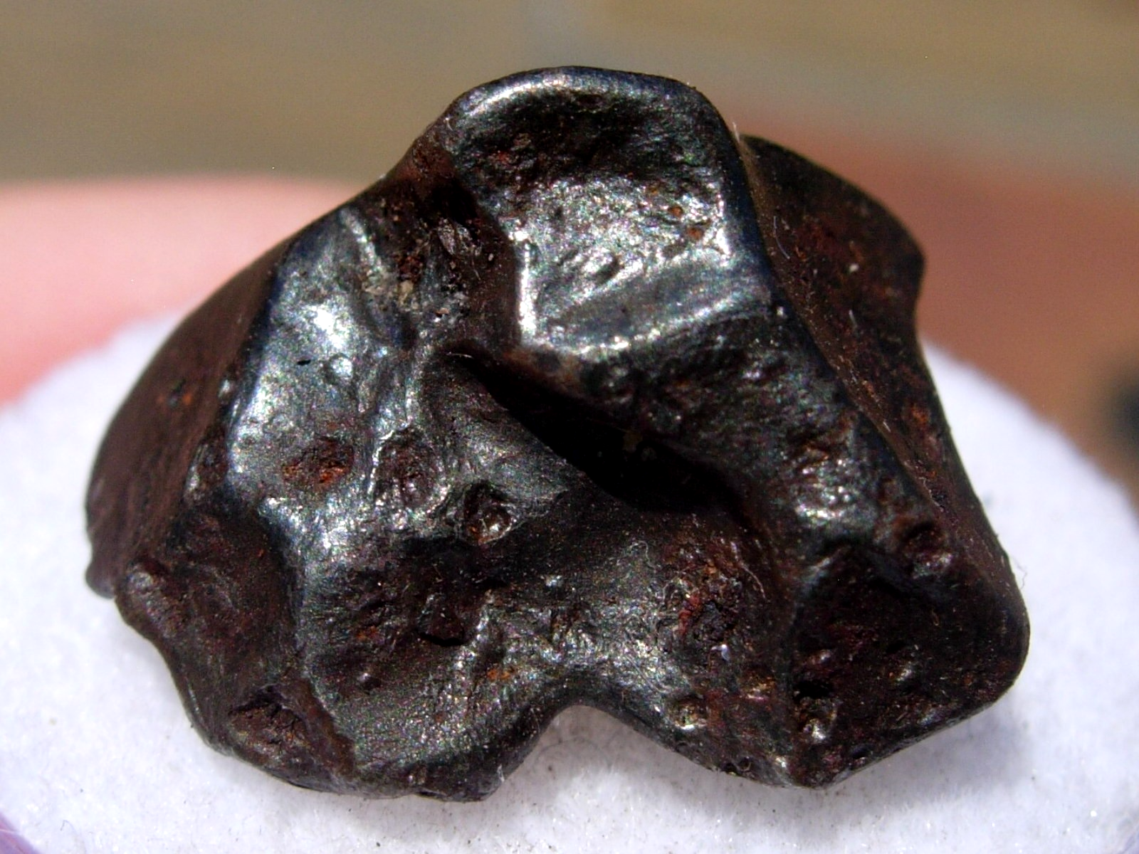 隕石 Sijoté-Alín. 189gr. 隕石 Sijoté-Alín. 189gr. SIKHOTE-ALIN METEORITE ORIGINATING FROM