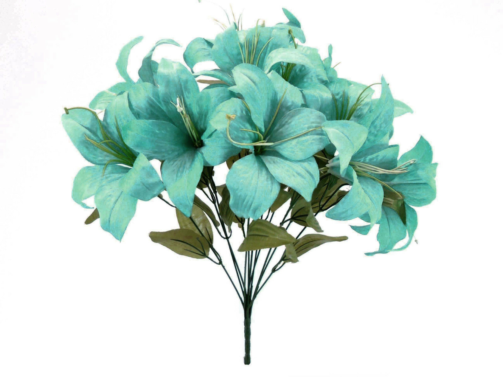 花卉57 $_57.JPG?set_id=8800005007