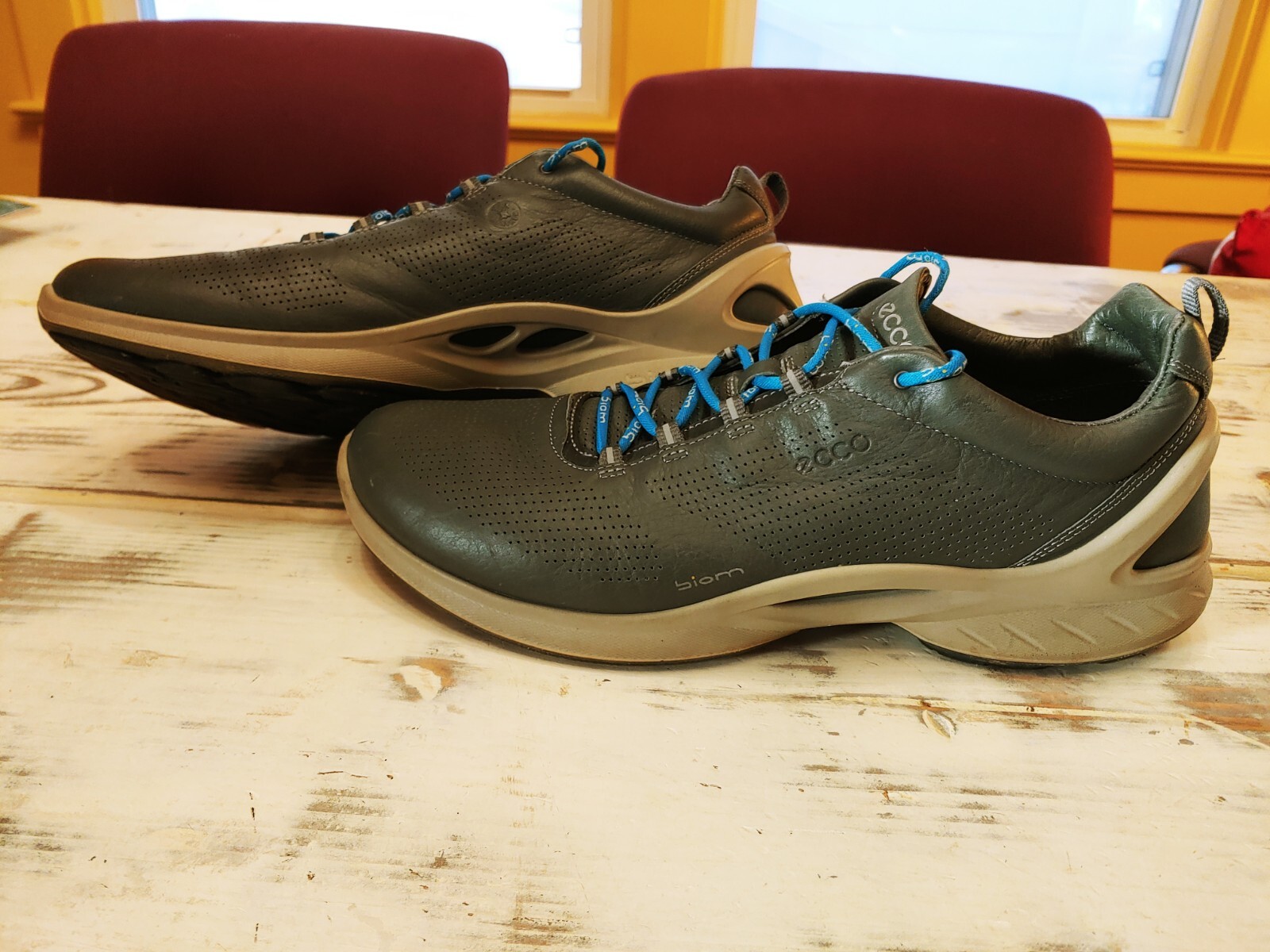 ecco biom 46