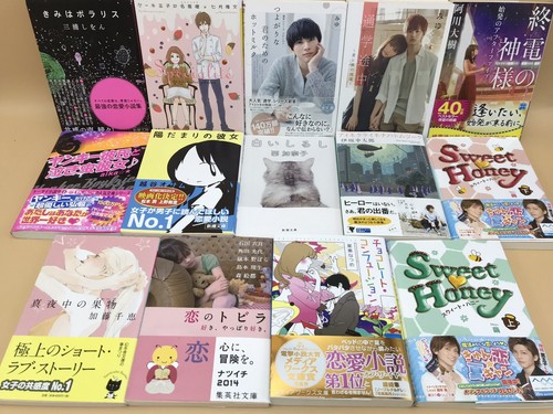 Japanese romance novel set Love story 14 books set Used Lot Japanese romance novel set Love story 14 books set Used Lot