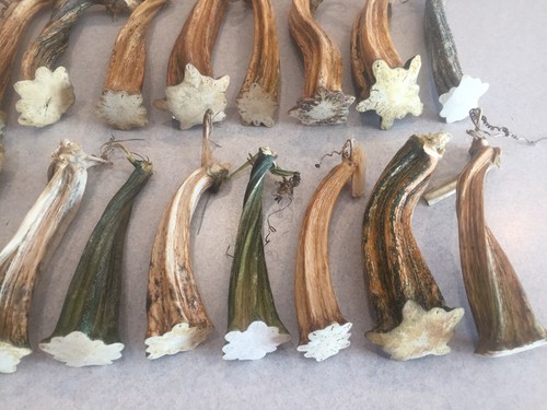 20 Excellent Quality Dried Pumpkin Stems - Crafts, Velvet 5