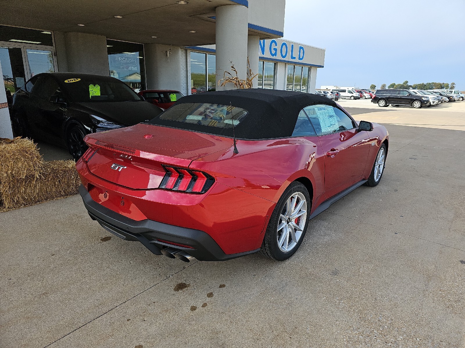 2024 Ford Mustang, Rapid Red Met Tinted Cc With 0 Miles Available Now