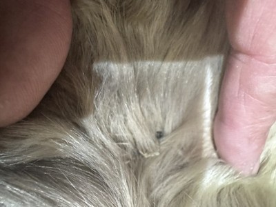 Objectfoto('s) van geverifieerde koper
