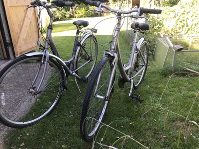 Two Bicycles For Repair. Giant & Raleigh.