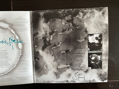 Brendan Perry Eye Of The Hunter/Live At The I.C.A. 2x LP Colored Vinyl *SIGNED*