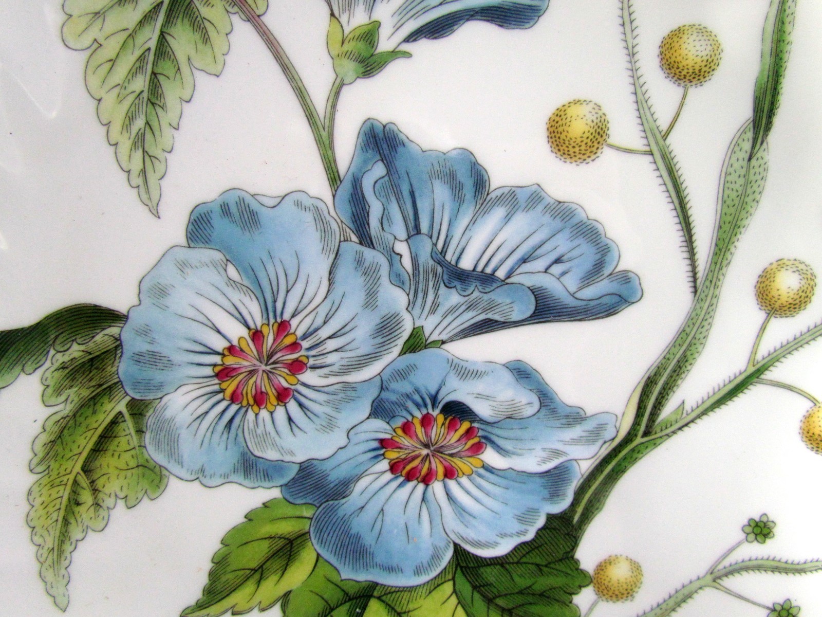 Spode Stafford Flowers 12 Inch Blue Poppies Pierced Handled Cake Plater