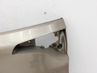 Renault Scenic IV J9 16-20 Beplankung untere Verkleidung für Kofferraumdeckel Heckklappe TEHNP Renault Scenic IV J9... Vorschau 6