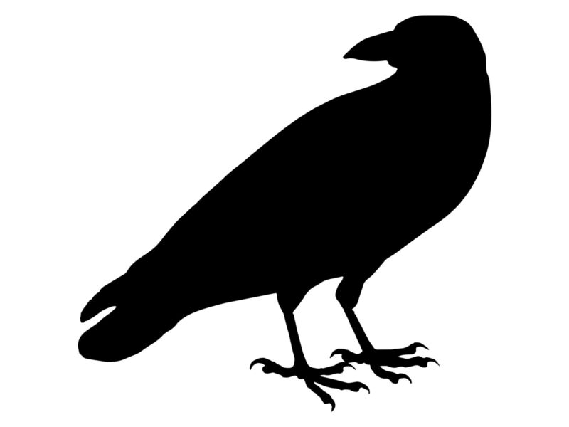 Crow Raven Black Bird Car Window Sticker Door Halloween Décor Vinyl Decal