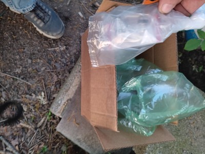 Item photo(s) from verified buyer