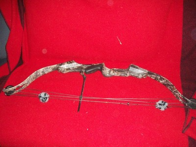 Compound Compound Bow Nice