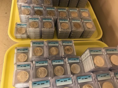 Pre 1921 Silver Morgan Dollar ICG MS65 S$1 Lot of 250 Mixed Dates and Mint Marks
