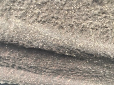 image 20 of exterior