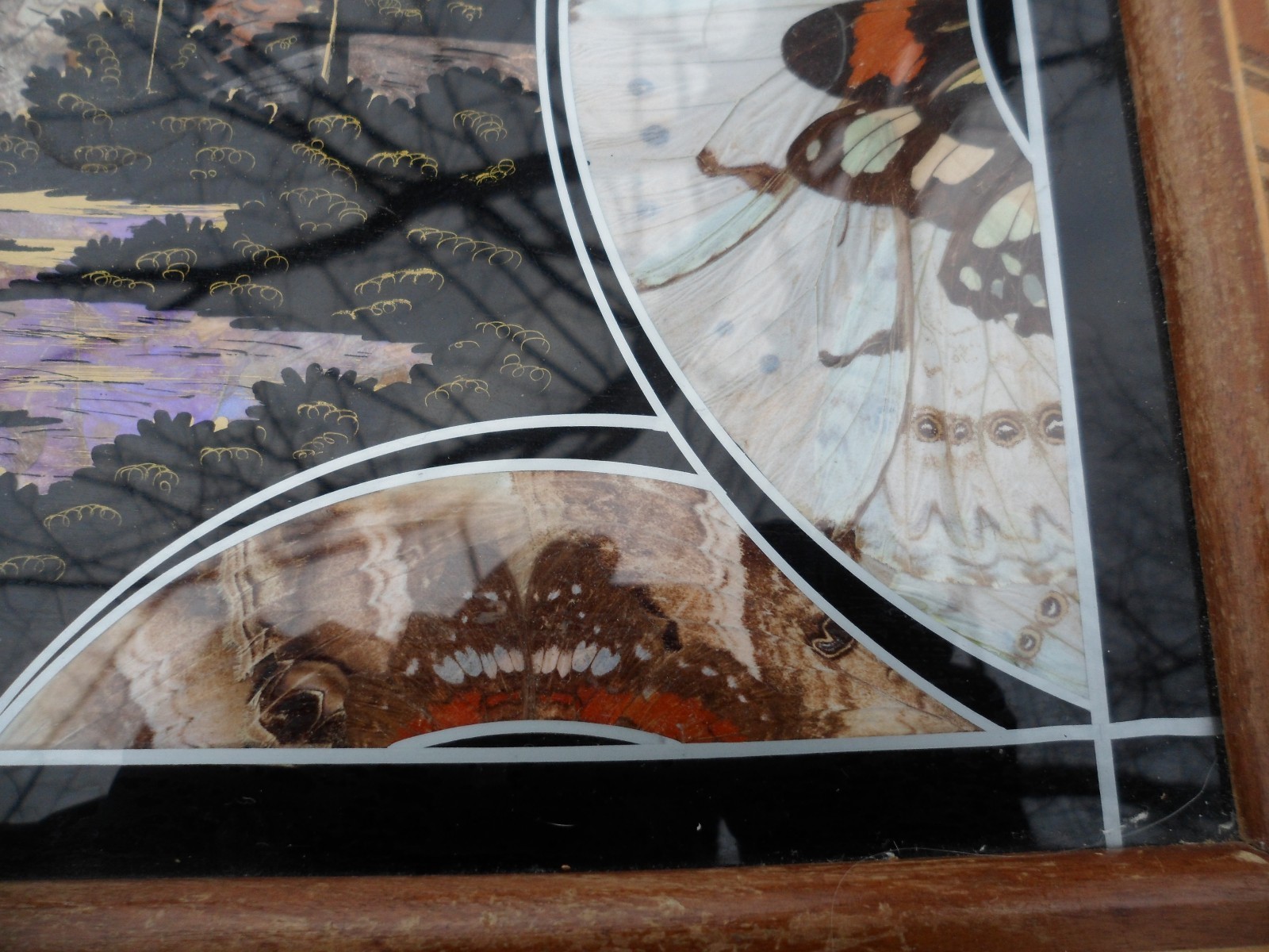 Marquetry Brazilian Real Butterfly Wing Art Serving Wood Tray Inlay Border 18