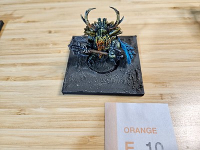 Conquest - Dweghom Hold Raegh Painted