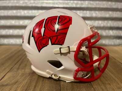 Custom Wisconsin Badger (2011 Rose Bowl vs Oregon Ducks) Speed Mini Helmet