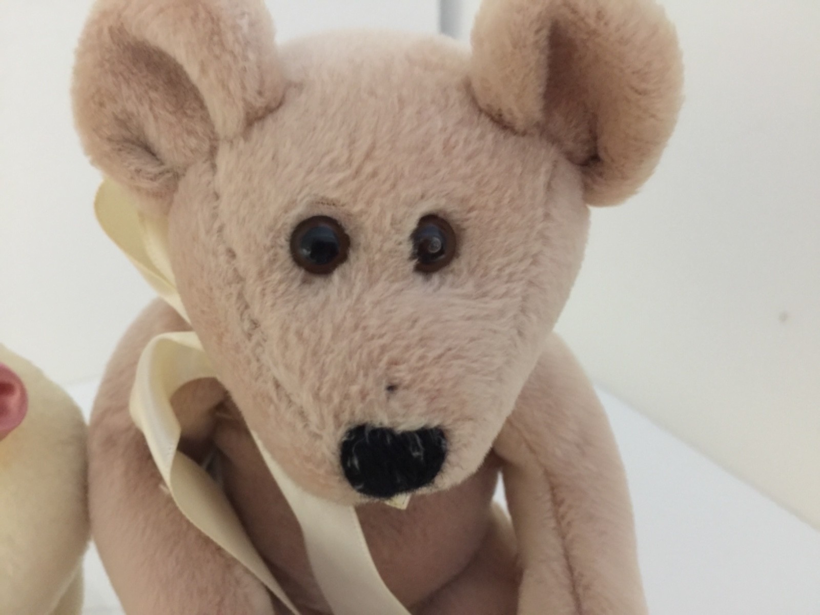 Boyds Bears & Friends J.B. Bean Plush Bears PADDY & DILLY McDOODLE - jointed