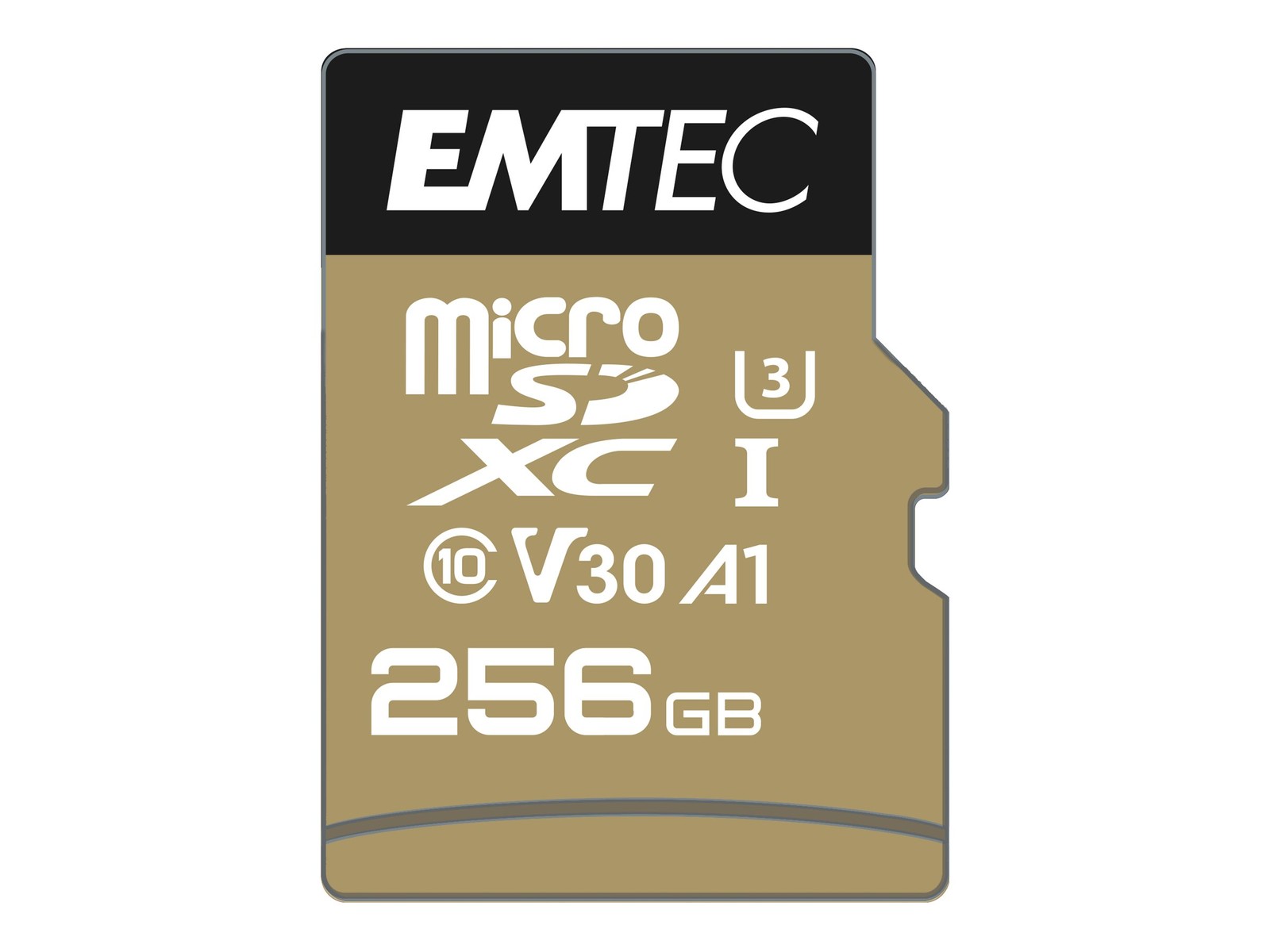 Emtec SpeedIN PRO R95/W85 256GB Kit, UHS-I U3, A1, Class 10