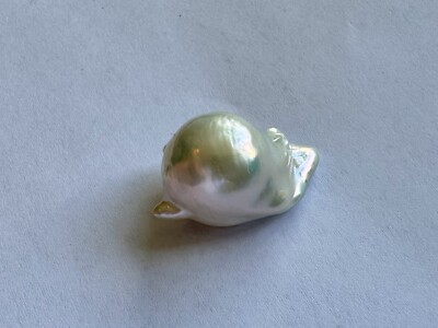 31.15ct Massive Natural White Evil Comet Ocean Pearl Huge Giant Clam Australian 