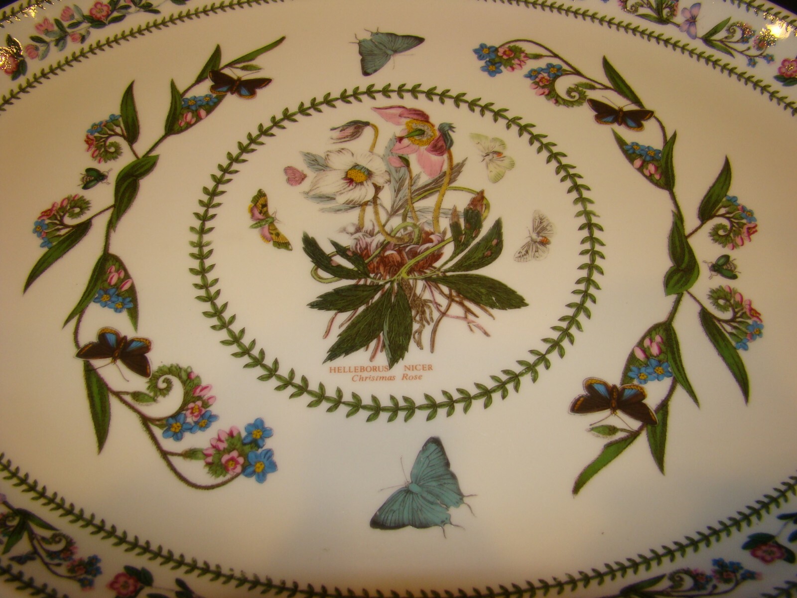 Portmeirion Variations 14